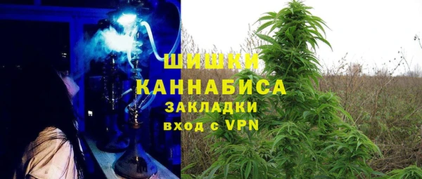 молекула духа Алзамай
