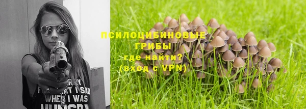 молекула духа Алзамай