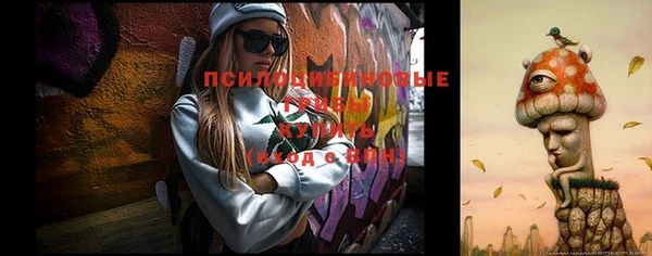 молекула духа Алзамай